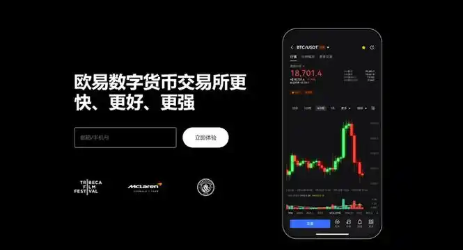 易欧交易软件系统展示图